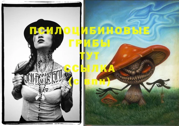 гидропоника Новокубанск