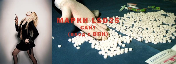 jwh Новозыбков